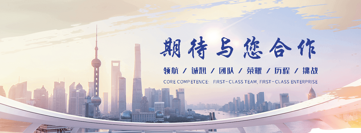荆门海狮租赁公司